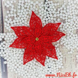 Poinsetia Etoile de Noël