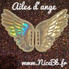 "Shoe Wings" (ailes pour chaussures) - ailes d'ange ou chauve-souris/dragon