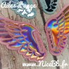 "Shoe Wings" (ailes pour chaussures) - ailes d'ange ou chauve-souris/dragon