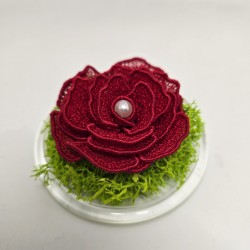 Rose éternelle sous cloche