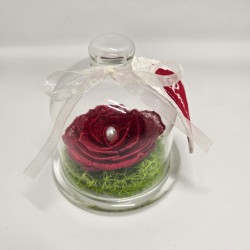 Rose éternelle sous cloche