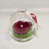 Rose éternelle sous cloche