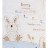 Gigoteuse "BUNNY HIDE & SEEK" 12-18 mois rose